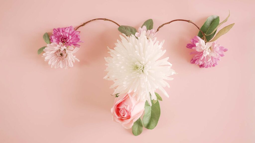 pavimento pelvico menopausa
